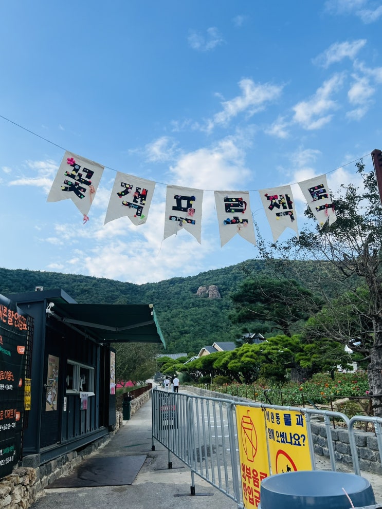  [고창] 핑크뮬리 축제 / 꽃객 프로젝트 /9월 고창 핑크뮬리 / 광주 근교가볼만한 곳 / 광주 당일치기 여행