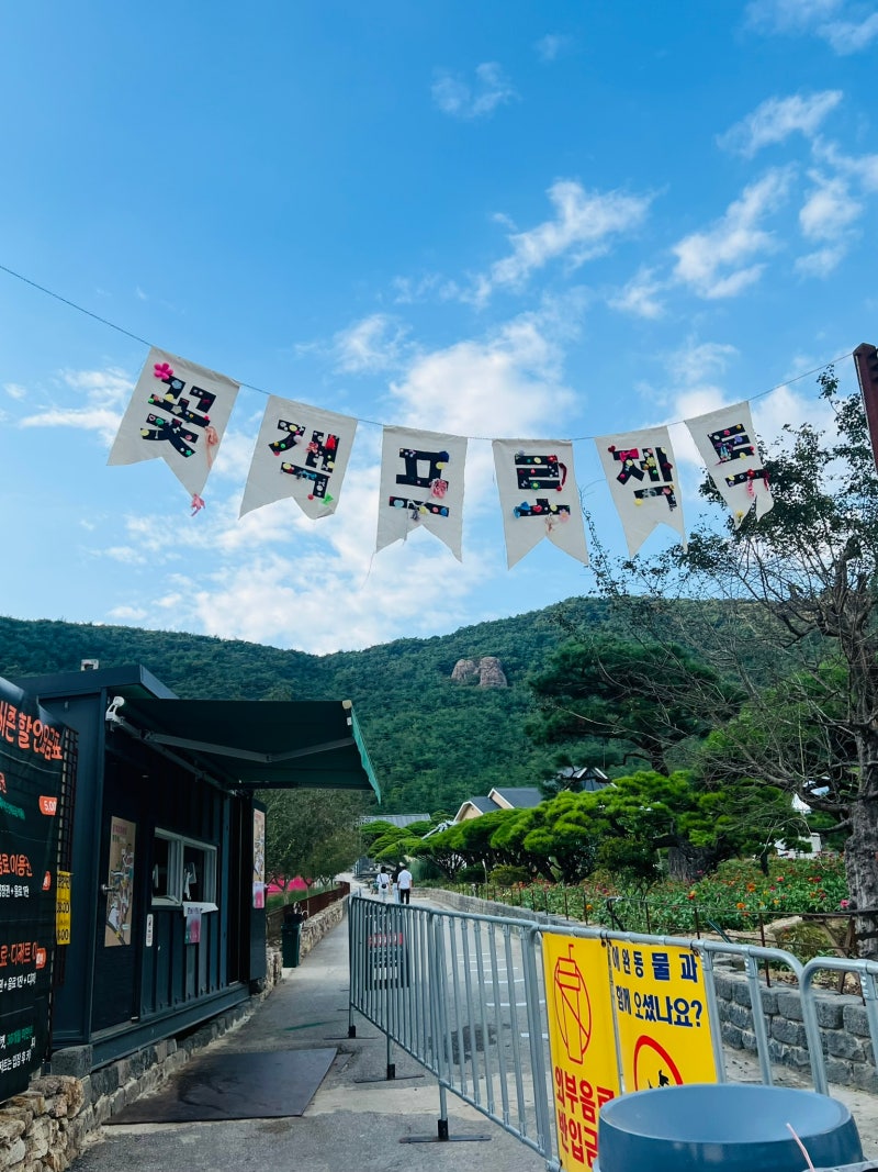 [고창] 핑크뮬리 축제 / 꽃객 프로젝트 /9월 고창 핑크뮬리 / 광주 근교가볼만한 곳 / 광주 당....