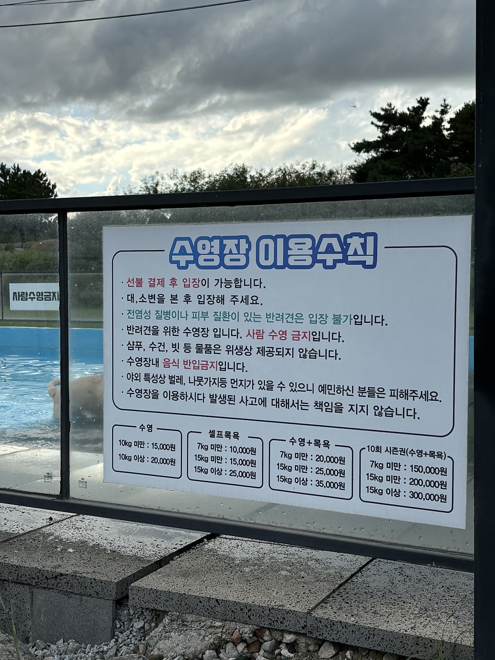 호두마루애견카페 사진 2