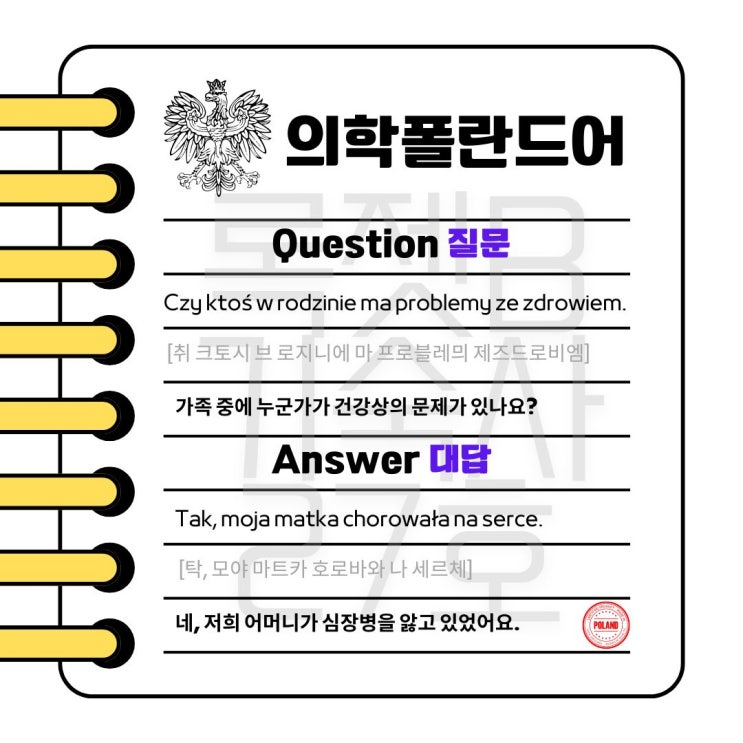  #의학폴란드어 #1question #1answer #가족력