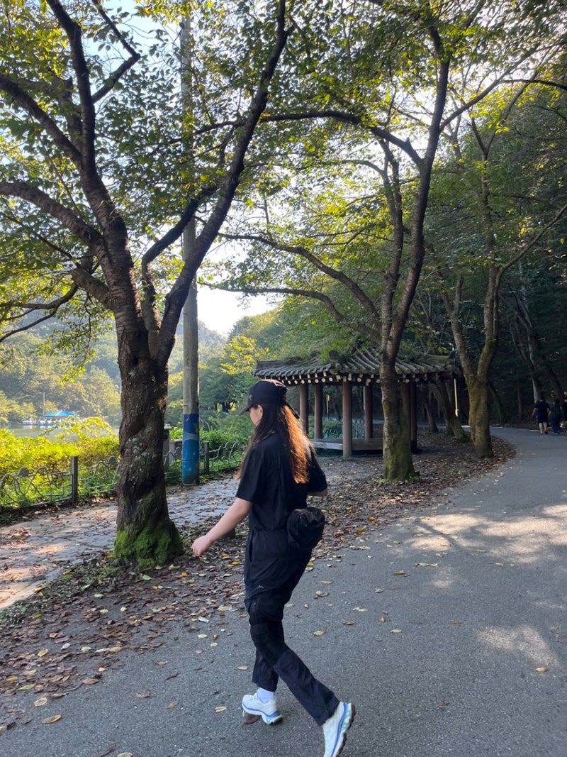 등산복 후기 /케일 바람막이 케일 바지 고요웨어 티셔츠 고요웨어 바지