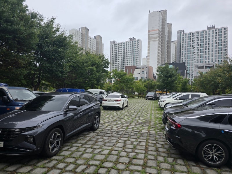 사진 5