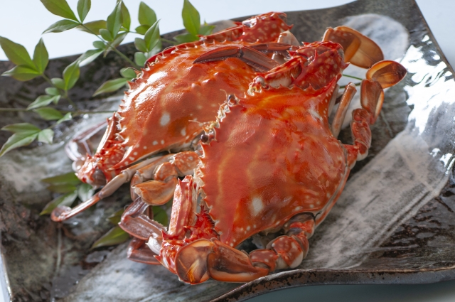  가을 꽃게의 제철과 맛있게 먹는 법 알아보기