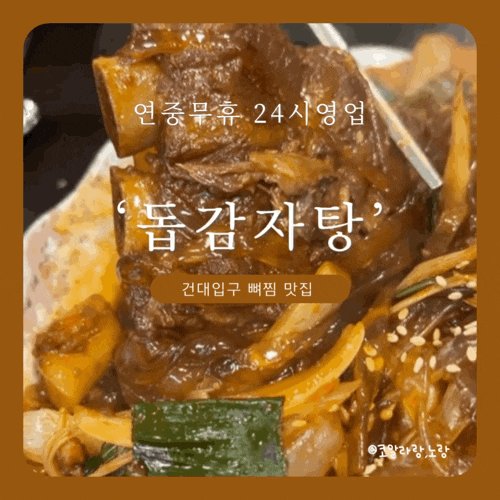  건대입구역 24시 영업 뼈찜 맛집 돕 감자탕