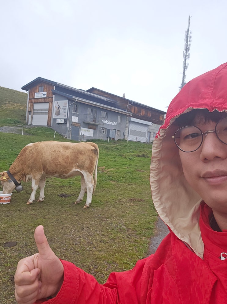  (스위스 신혼여행) 4. 융프라우 신라면 후기, 융프라우 -> 멘리헨 이동기