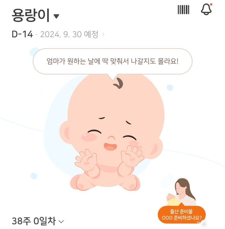 임신 38주 증상 배크기 첫조카 만남 아기용품 빨래지옥 출산준비하기 임신 38주 증상 배크기 첫조카 만남 아기용품 빨래지옥 출산준비하기