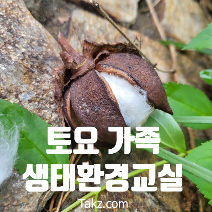  융합과학교육원 토요 가족 생태 환경교실 체험 후기