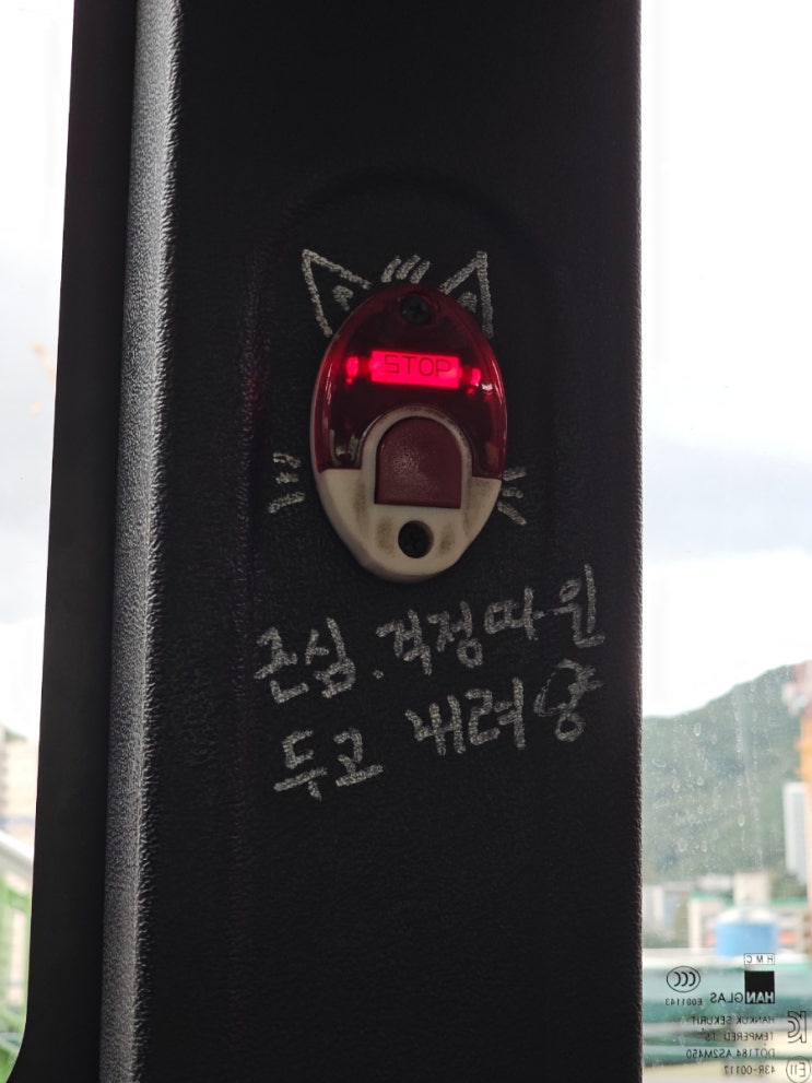  추석주간 일상 사진 모음
