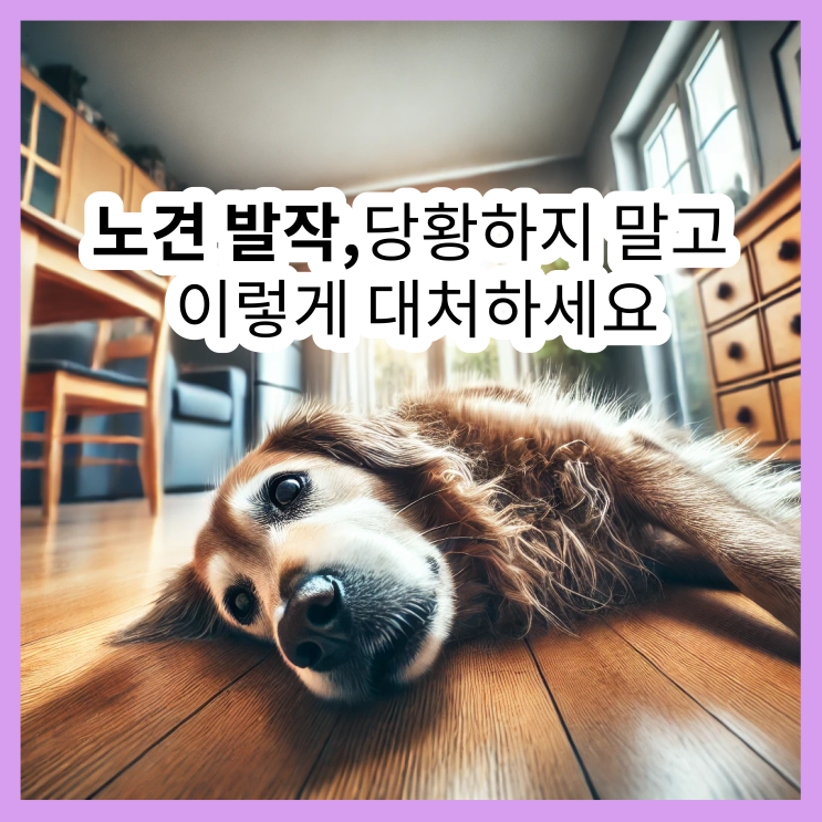  노견 발작, 절대 당황하지 말고 이렇게 대처하세요!