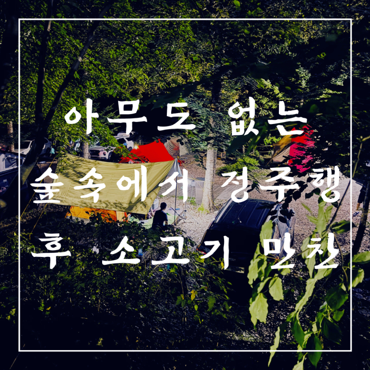   일상 포토덤프 | 넷플릭스 아무도 없는 숲속에서 정주행 후 소고기 만찬