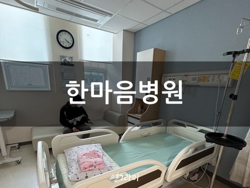 창원한마음병원 제왕절개 1인실, 2인실 후기