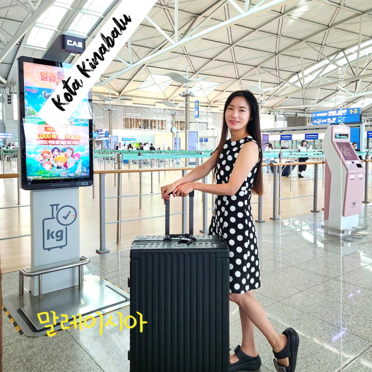  코타키나발루 여행을 위한 완벽한 선택 28인치 폴리카보네이트 캐리어