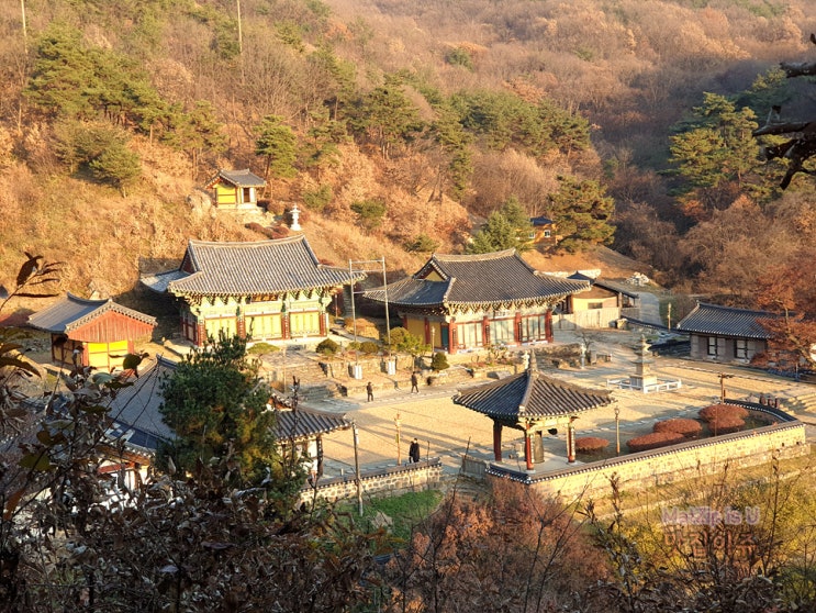  19년 11월 일기 / 세종장군면 카페 풍류다방, 수운교, 세종호수공원, 서울역 서울로7017, 공주한옥마을, 세종시 가볼만한곳 비암사