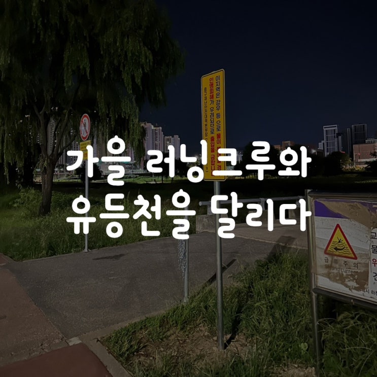  가을 러닝크루와 유등천을 달리다
