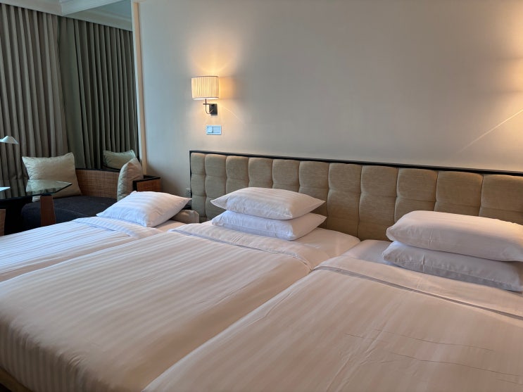  태국 방콕 시암 숙소 그랜드 하얏트 에라완 방콕 Grand Hyatt Erawan Bangkok 객실 내돈내산 후기(+수영장)