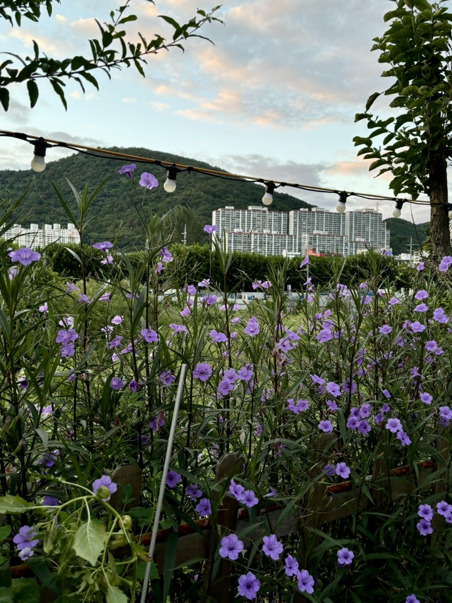 송하정 사진 5