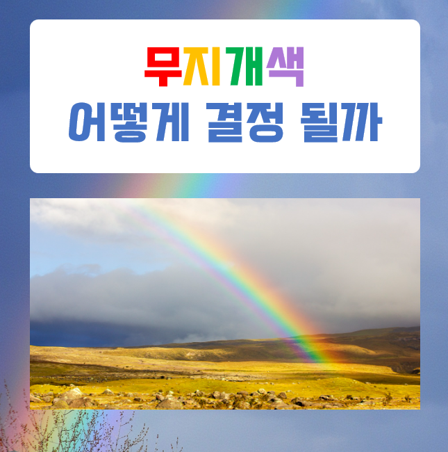  무지개는 왜 일곱가지 색일까? 자연의 비밀