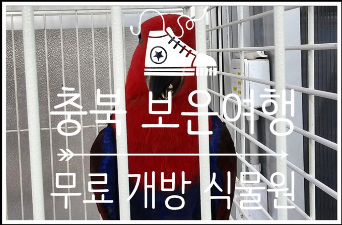  충북 보은군 가볼만한곳 속리산 테마파크 옆 자생식물원 & 관상조류관