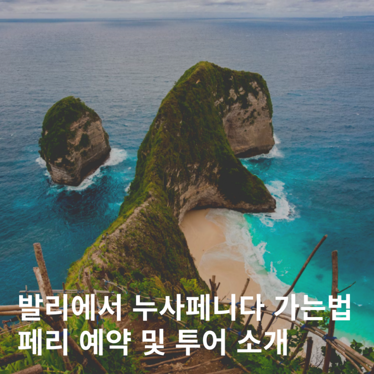  발리 누사페니다 섬 투어 가는법 사누르 렘봉안 페리 보트