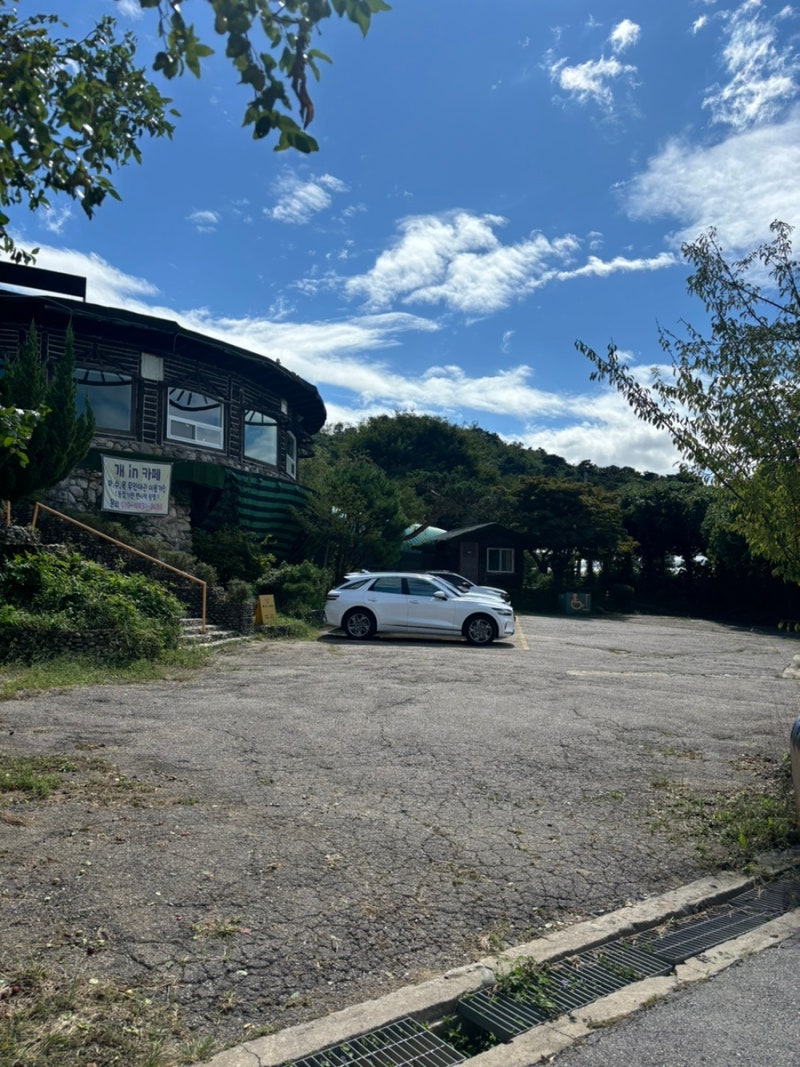 사진 2