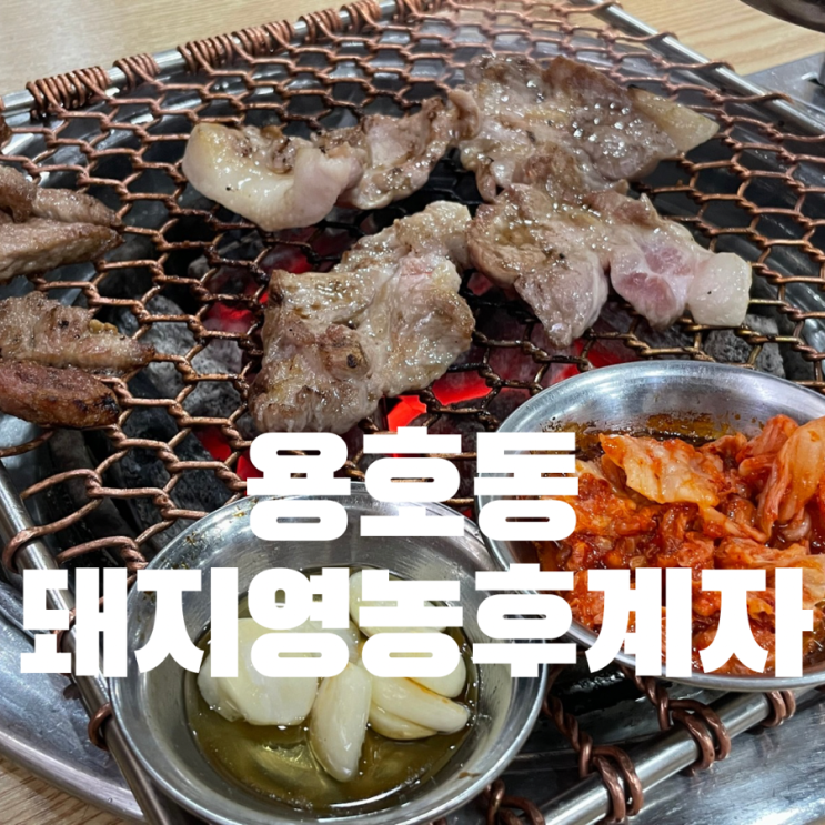  창원 용호동 용지호수고기집 꼬들목살 맛있는 돼지영농후계자