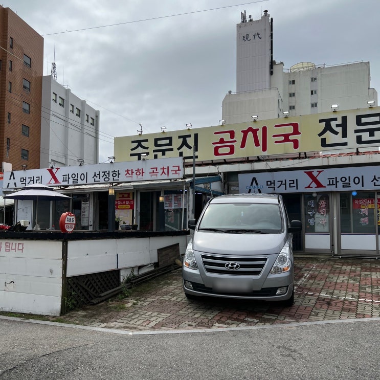  강릉 애견동반식당 주문진 곰치국 방문 후기