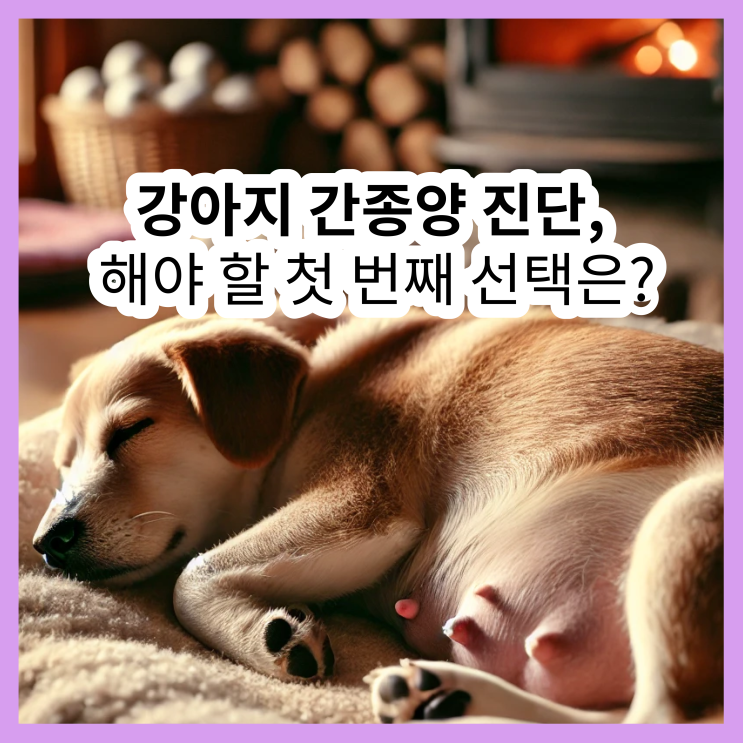  강아지 간종양 진단, 보호자가 해야 할 첫 번째 선택은?