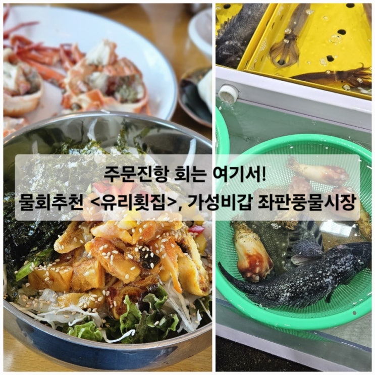 주문진항 회는 여기서! 물회추천 유리횟집, 가성비갑 좌판풍물시장