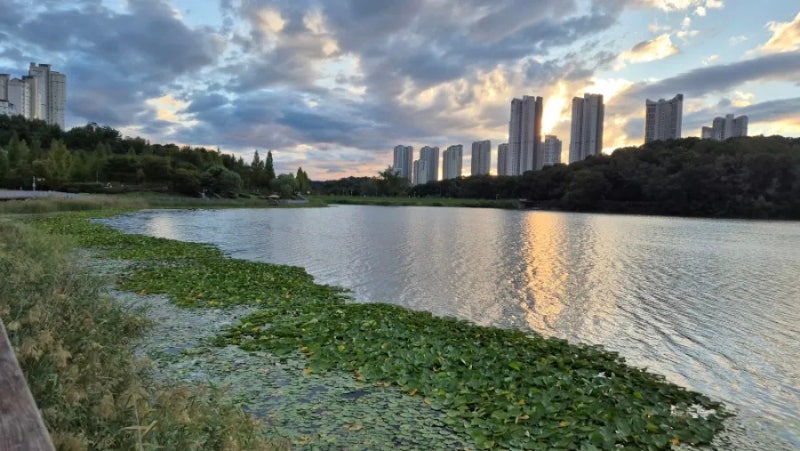 사진 7