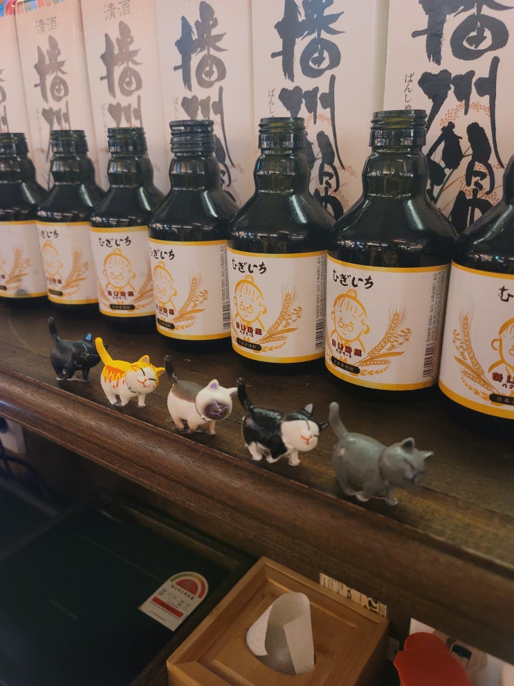  목포 하나마토 평화광장 술집저렴한 이자카야 맛집