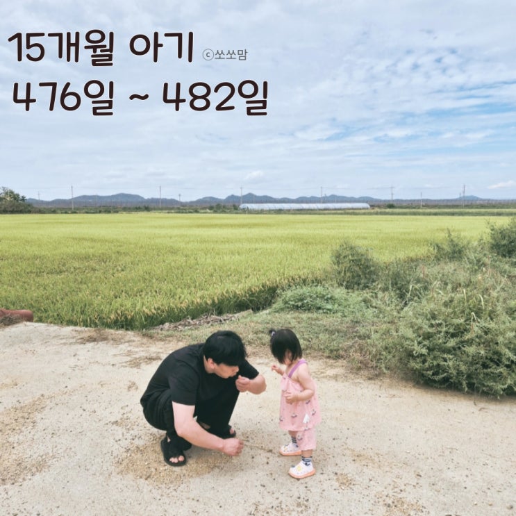 15개월 아기는 다이소와 자두홀릭, 추석 가족여행 향원펜션 이번 주 아기 발달