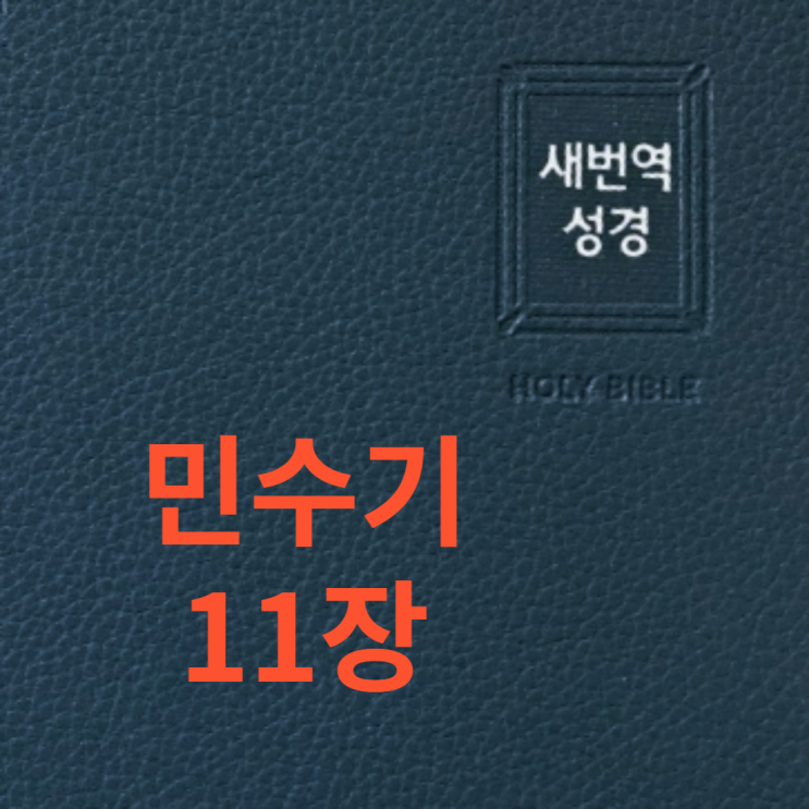 민수기 11장 민수기 11장