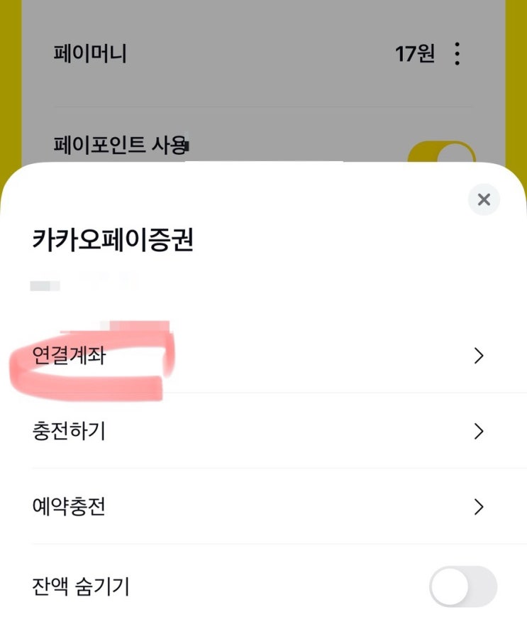카카오페이 결제카드 등록 및 변경방법 카카오페이 결제카드 등록 및 변경방법