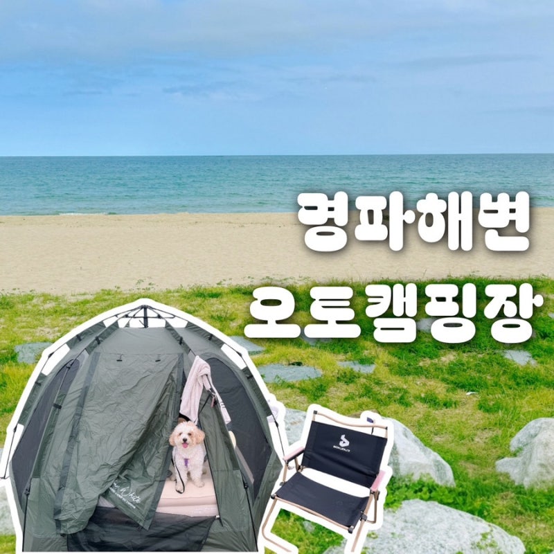 사진 8