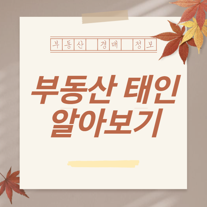  부동산태인 대한민국 대표 부동산 경매 정보 플랫폼 알아보기