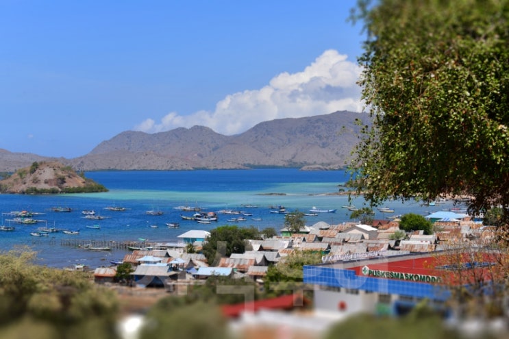  코모도 여행 필수 여행지 코모도섬  KOMODO ISLAND