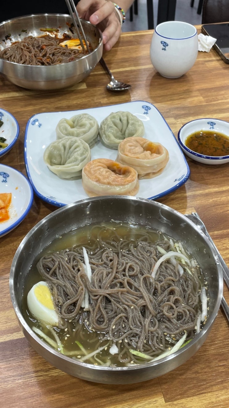  [물의 정원 맛집] 물/비빔 막국수 속이꽉찬 왕만두 - 대박직접뽑은막국수