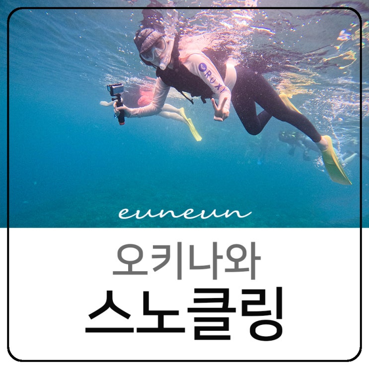  오키나와 스노클링 민나섬 오박사 북부투어 액티비티 후기