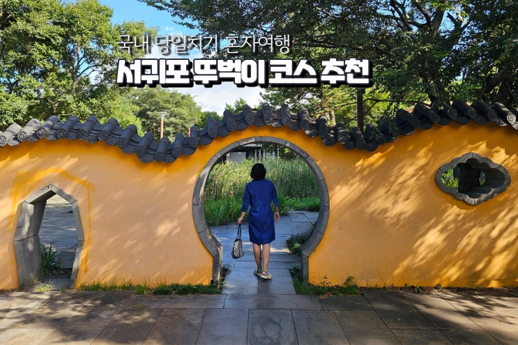  국내 당일치기 혼자여행 제주도 여자 혼자하는 뚜벅이 여행코스