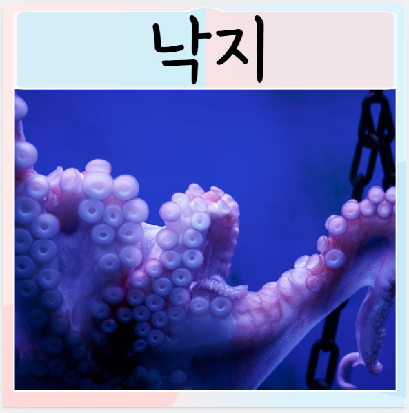  낙지효능 먹으면 좋은점들은 ?