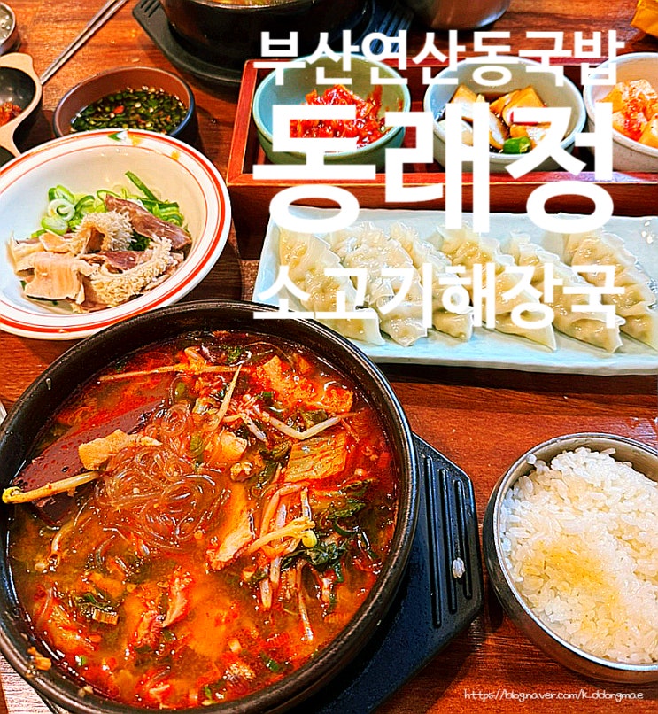  부산 연산동 국밥 '동래정 소고기해장국' 연산역 점심 추천