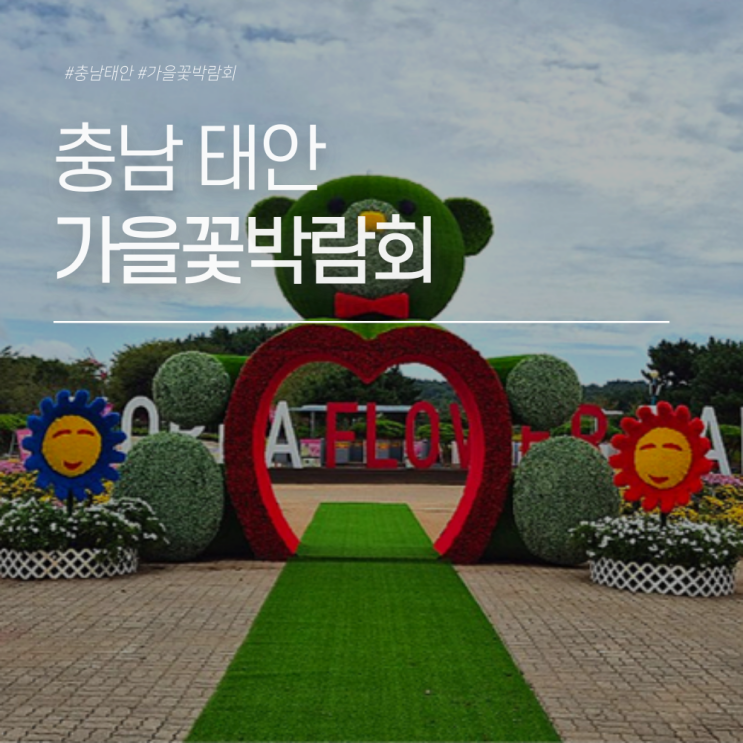 태안 가을꽃박람회 기본정보 가을에 드라이브로 다녀오기 좋은 축제