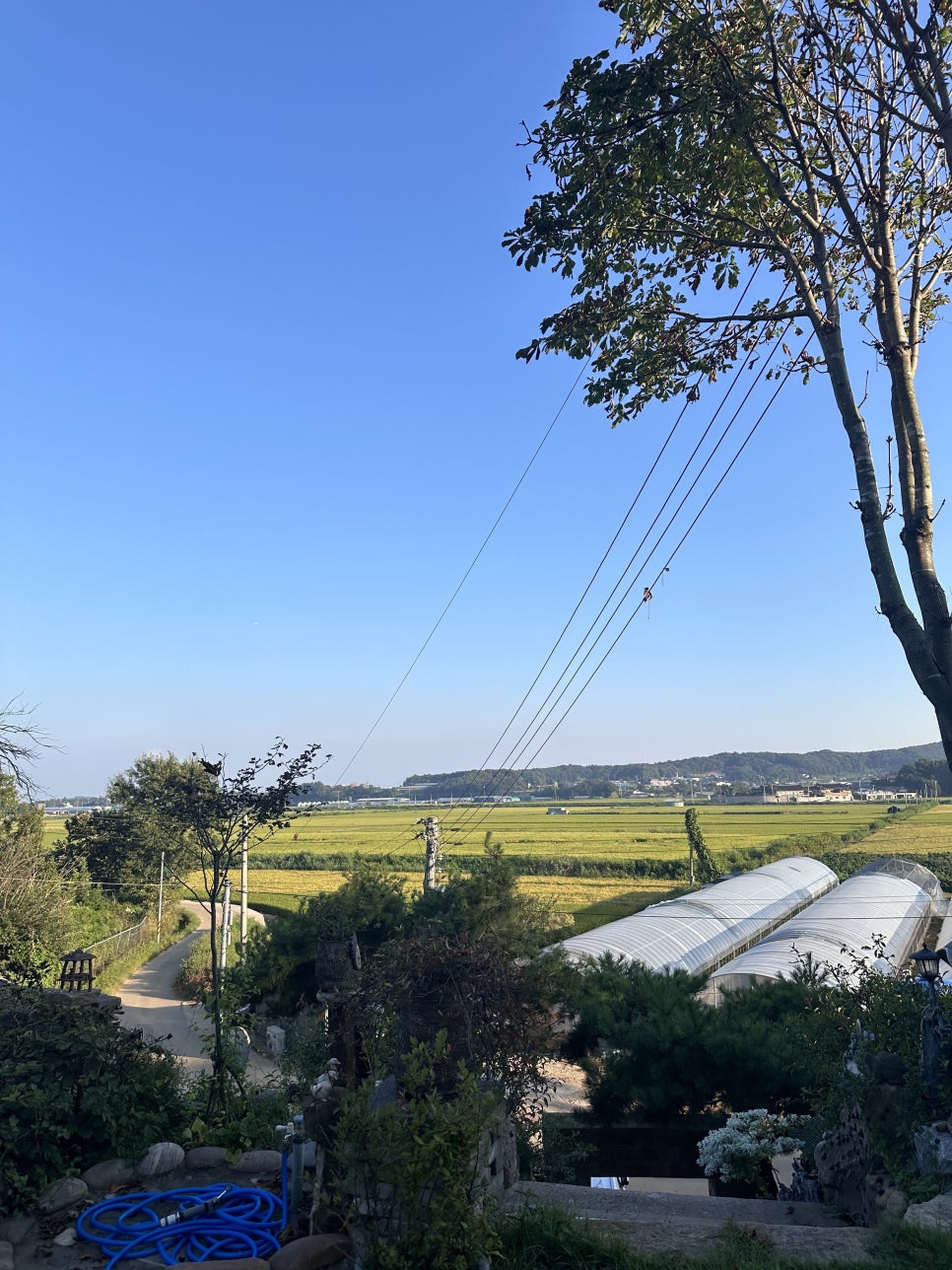 벽전도예가펜션 사진 5
