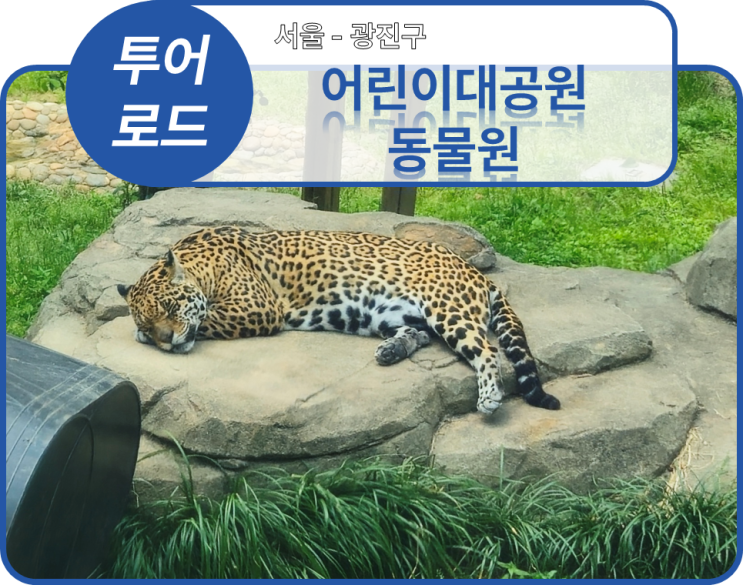  투어로드] 4. 서울 광진구 - 어린이대공원동물원(20240606)