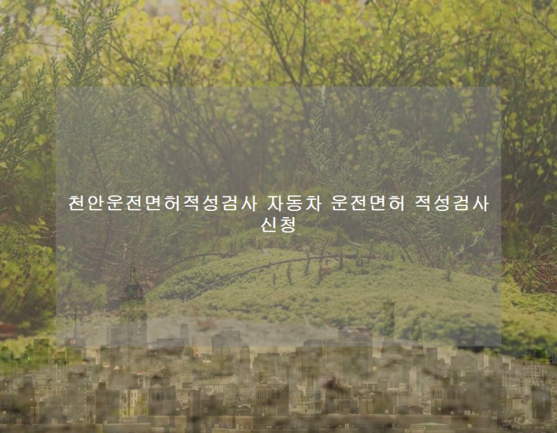 천안운전면허적성검사 자동차 운전면허 적성검사 신청