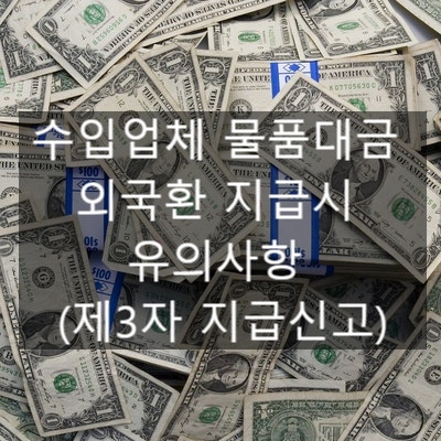  수입업체 물품대금 외국환 지급시 유의사항 (제3자 지급신고)
