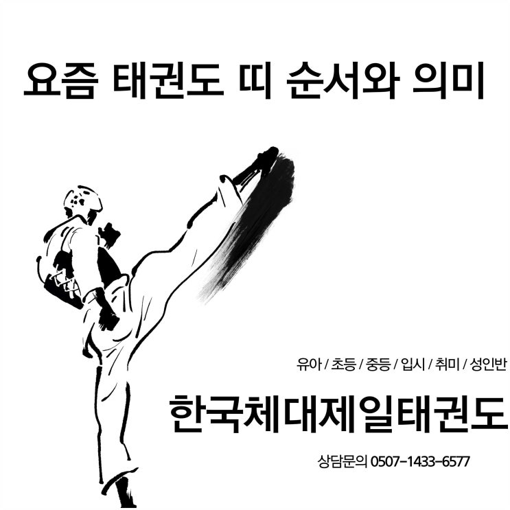  요즘 태권도 띠 순서와 의미에 대해 알아보기