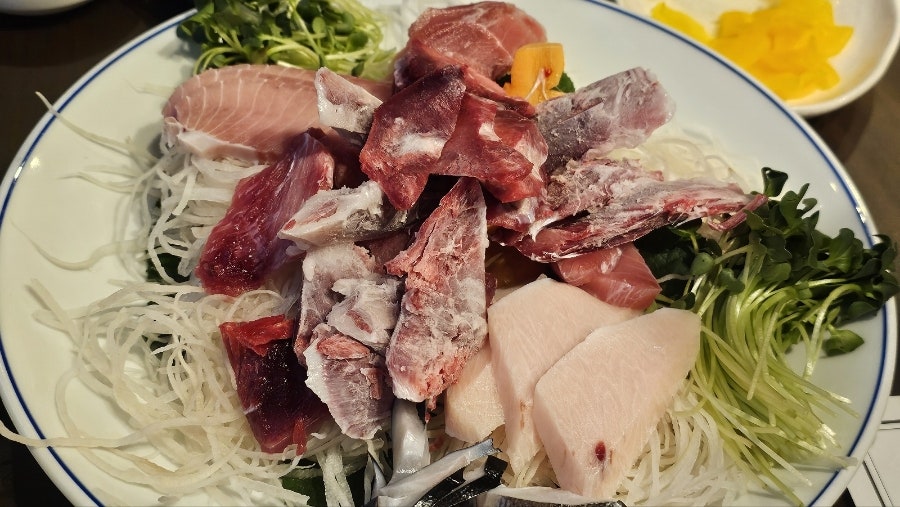 박참치 사진 2