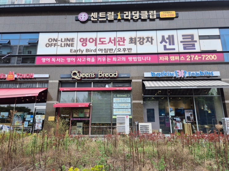  포항 지곡동 퀸즈 브레드 베이커리