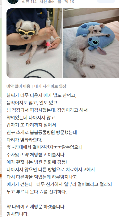  봄봄동물병원 10주년을 맞아 저의 이야기를 들려드릴까 합니다 - 김으뜸 대표원장